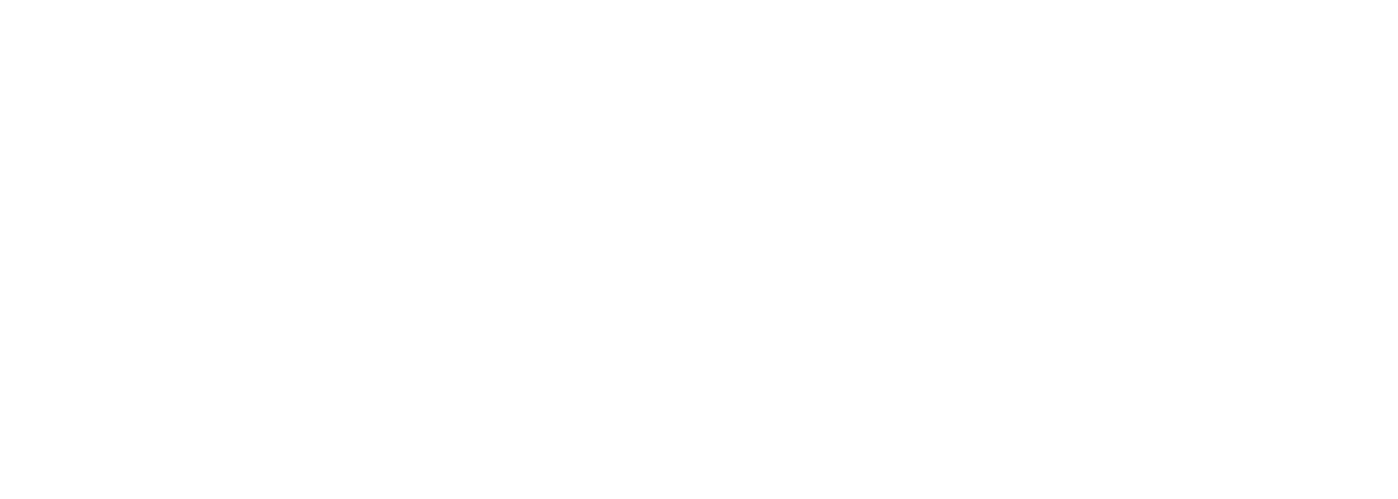 Boomer Consulting, Inc.